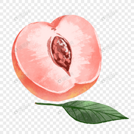 高清乱码在线看APP应用