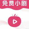 传递影视无限制vip版 传递影视无限制vip版
